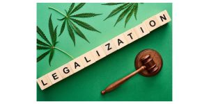 Action to Care: “Yes” on Cannabis Legalization
