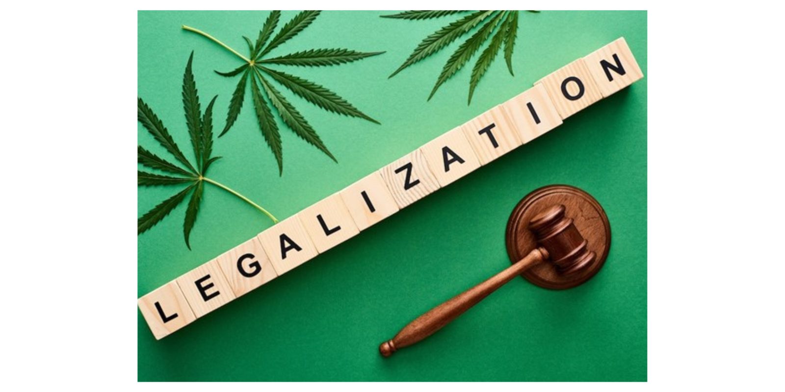 Marijuana legalization banner